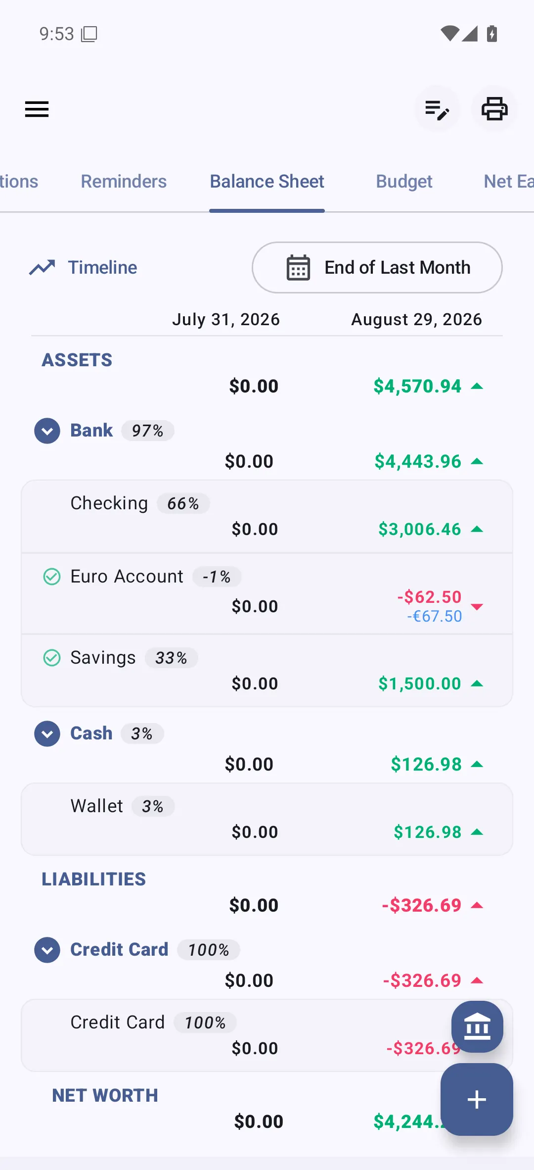 Bluecoins balance sheet