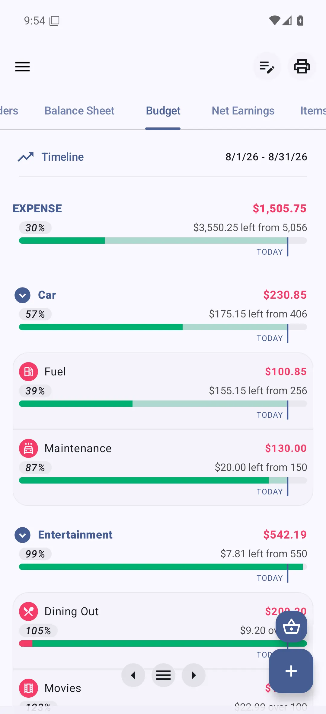 Bluecoins budget report